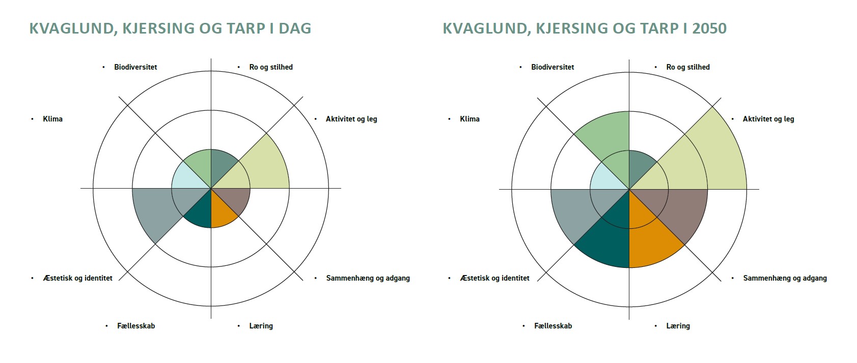 Statuskompas og udviklingskompas for Kvaglund, Kjersing og Tarp opstillet ved hjælp af det grønne værktøj. Klik på billedet for at åbne i et større vindue.